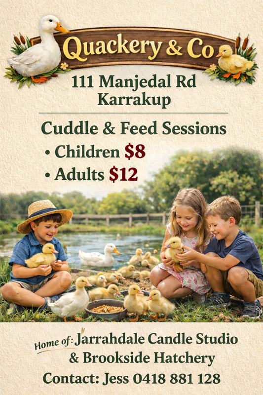 Duck Cuddle & Feed Session