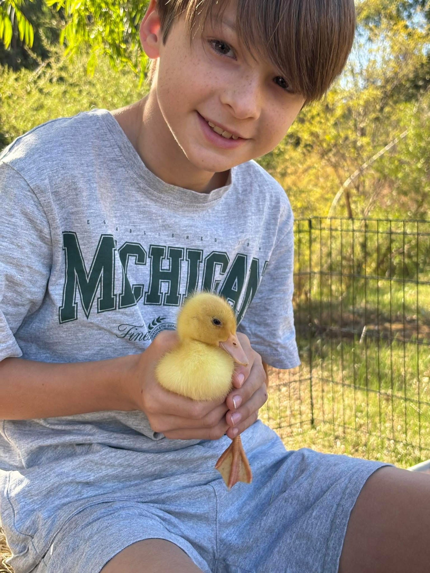 Duck Cuddle & Feed Session