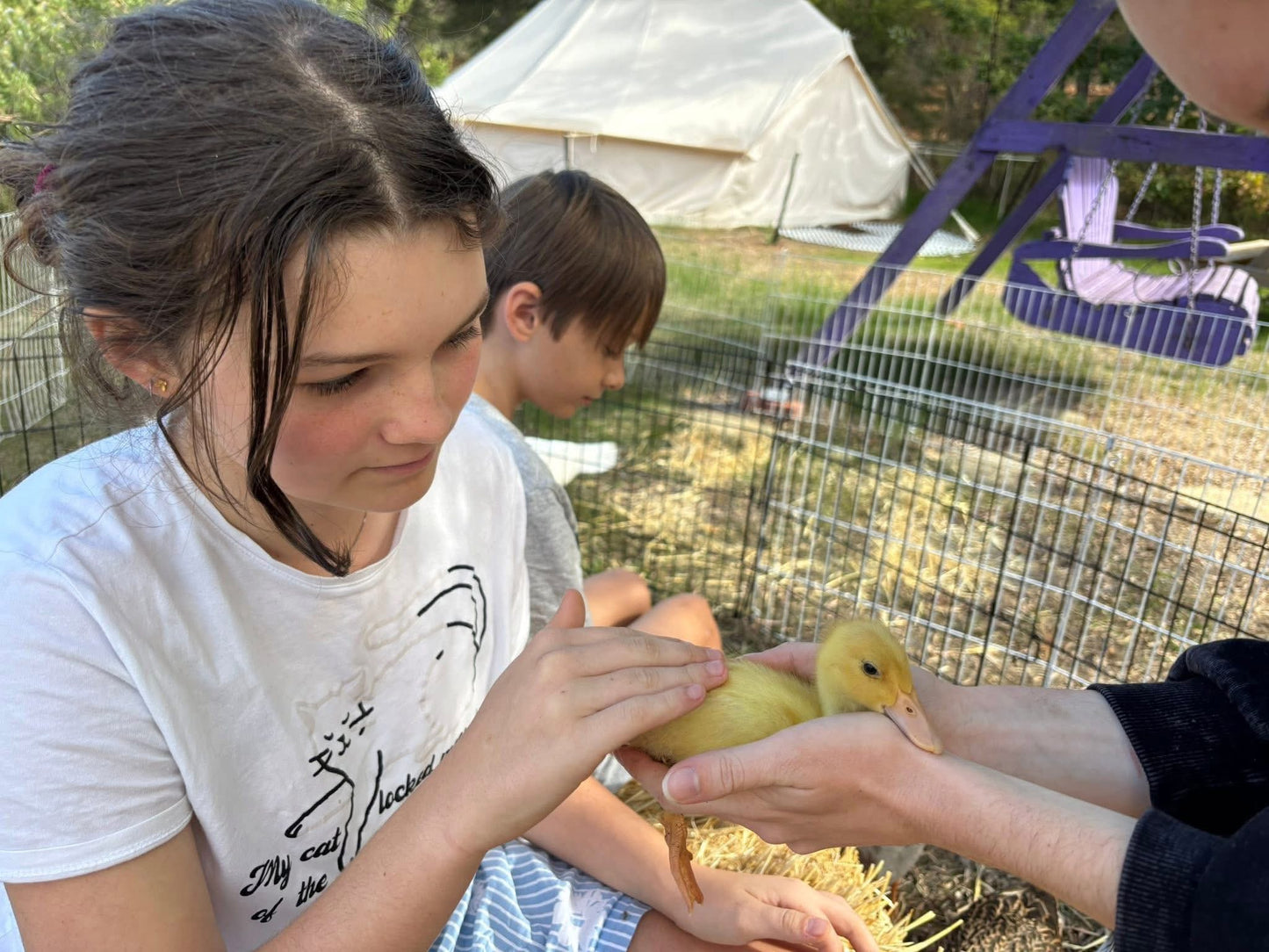Duck Cuddle & Feed Session
